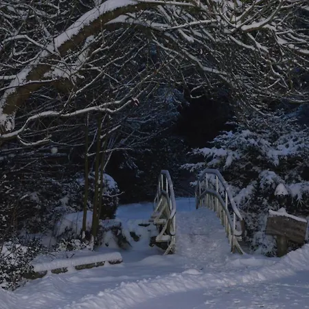 Hotel Marleen Winterberg